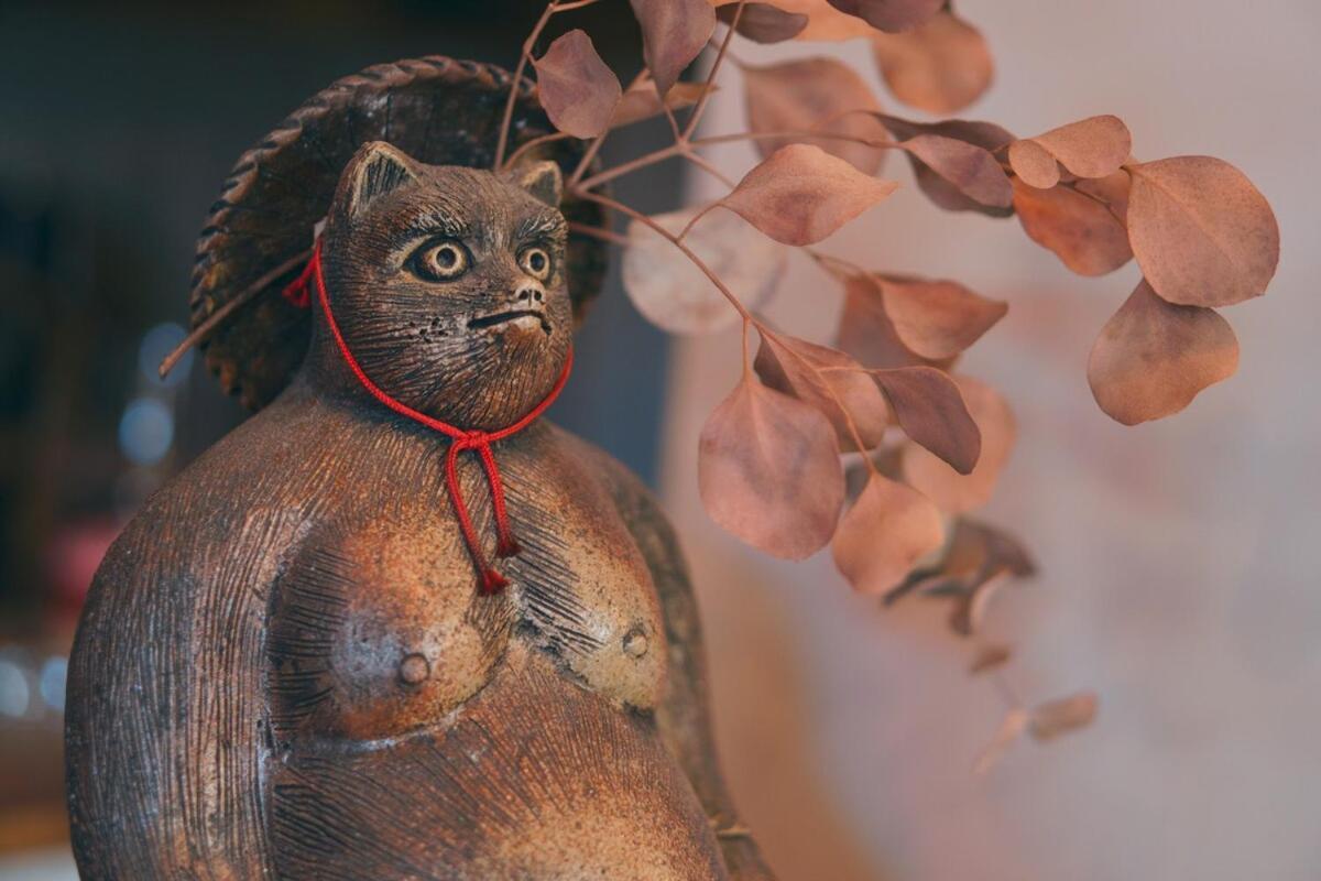 宿たぬきのねどこ Guesthouse Tanuki Tokoname Esterno foto