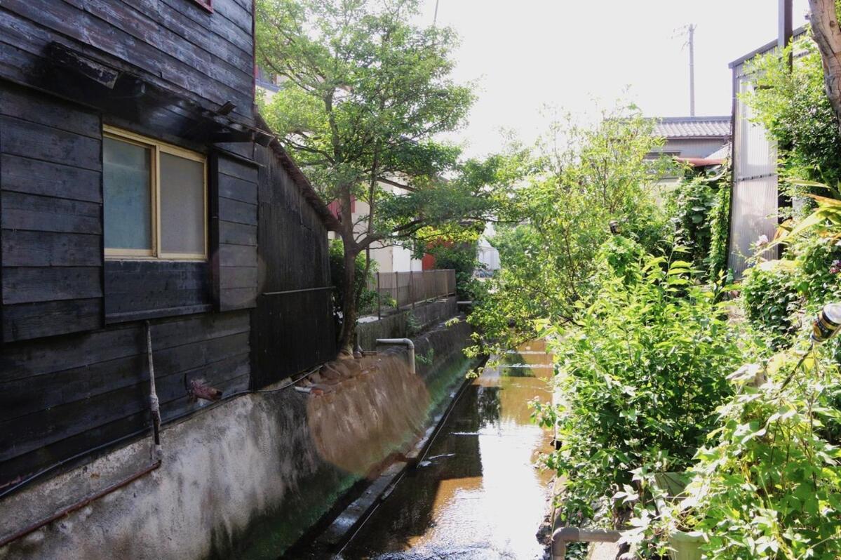 宿たぬきのねどこ Guesthouse Tanuki Tokoname Esterno foto